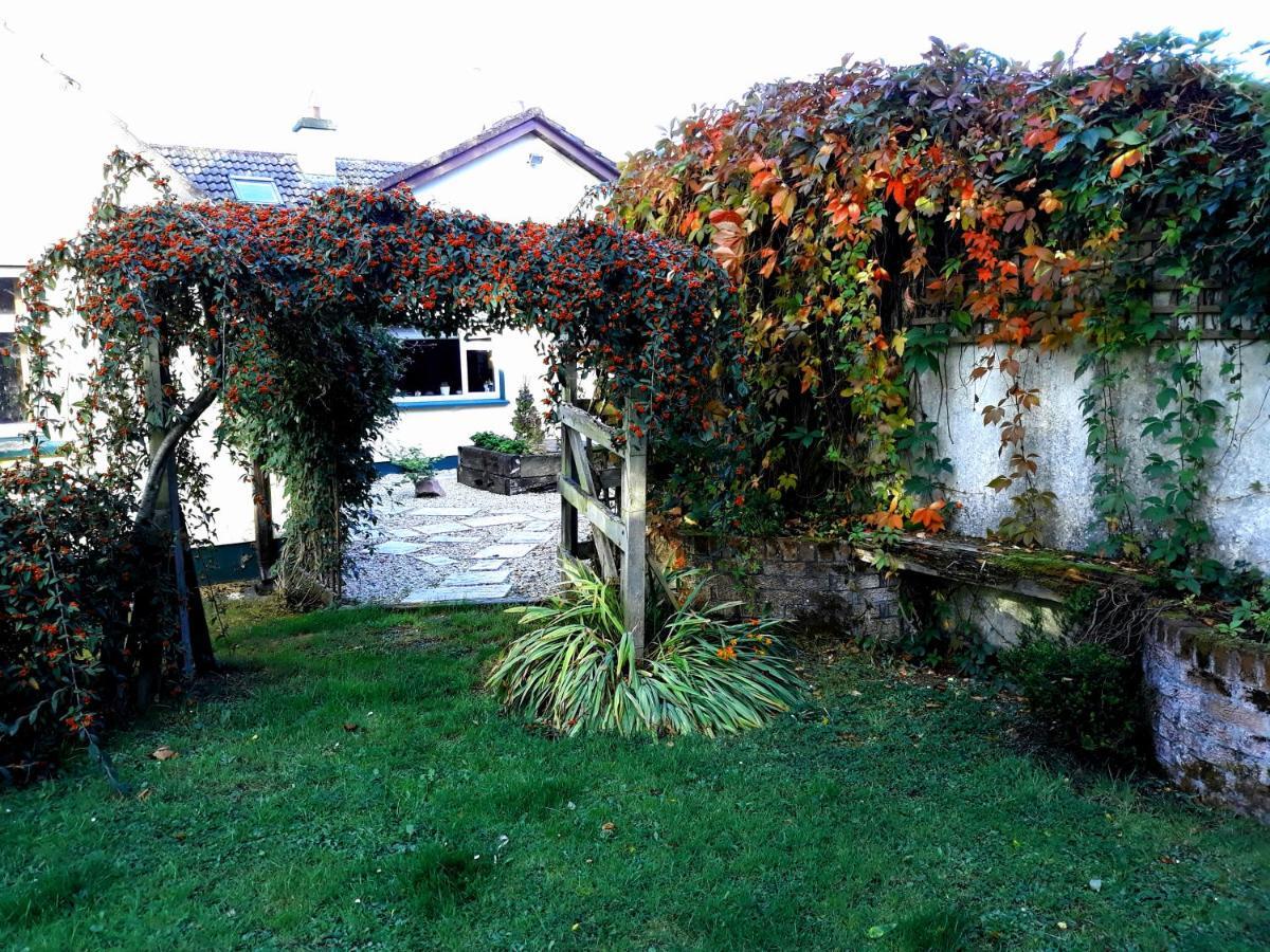 Country Home Tara Rathfeigh Exteriör bild